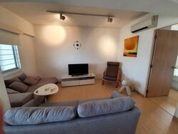 Blk 13 Cantonment Towers (Bukit Merah), HDB 3 Rooms #563199641